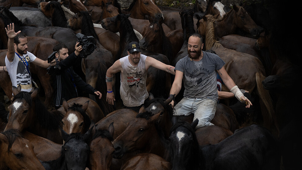 Fillos do Vento: A Rapa